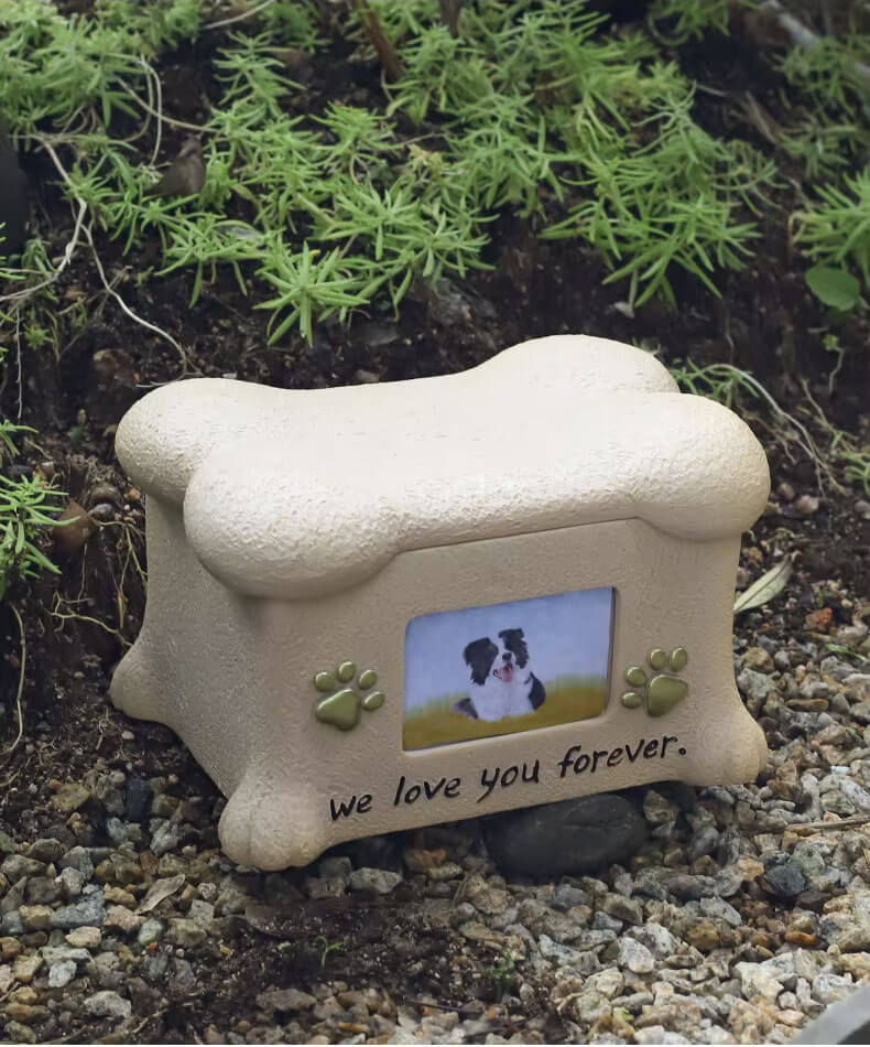 pet urn